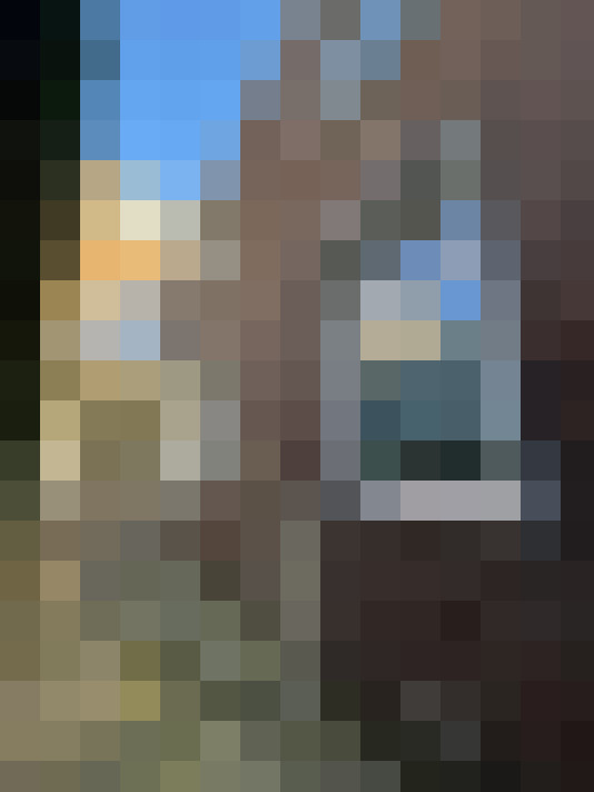 Image 13