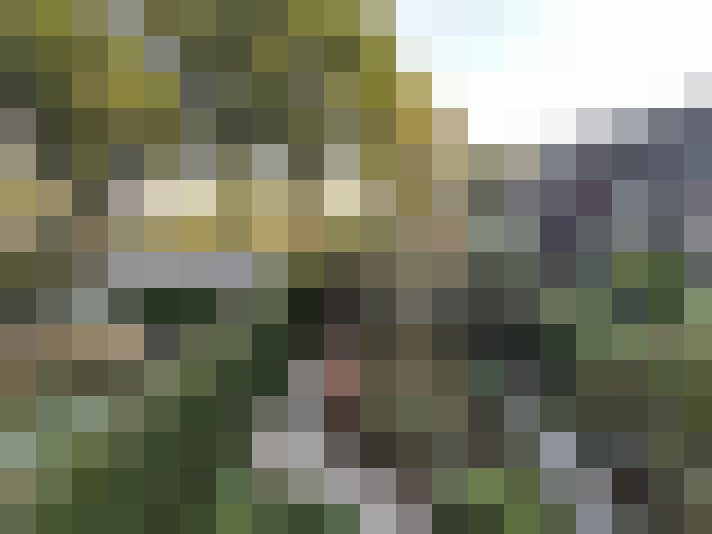 Image 15