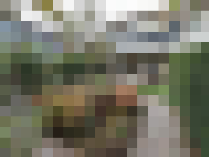 Image 13