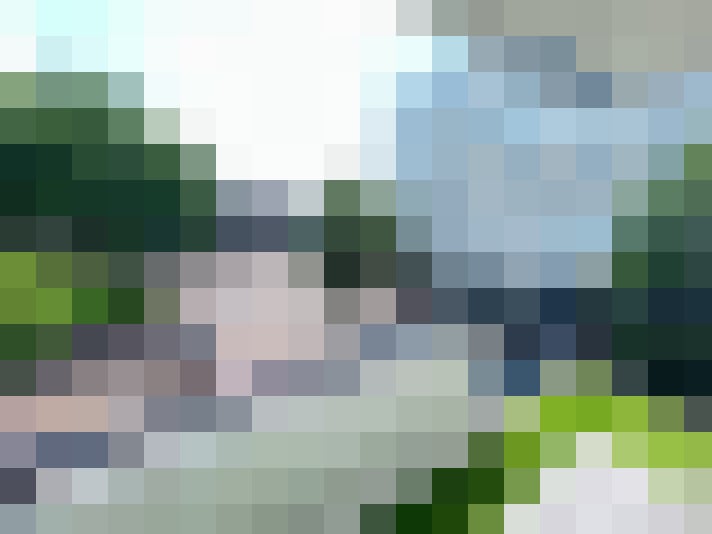 Image 27