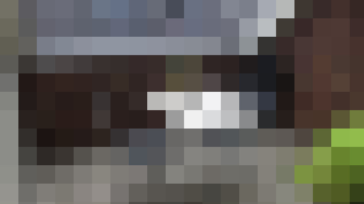Image 26