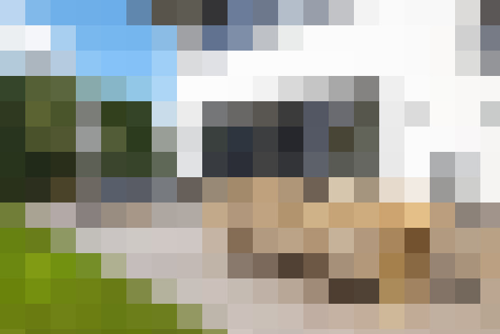 Image 30