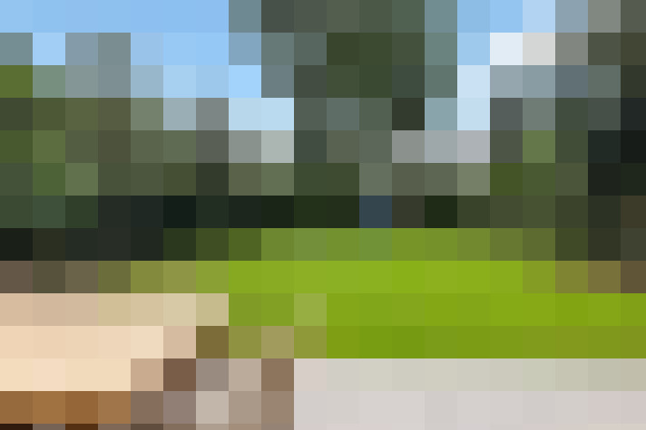 Image 24