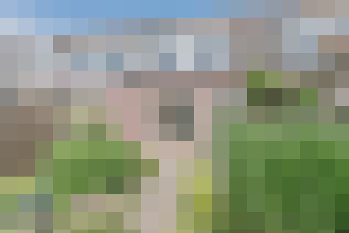 Image 20