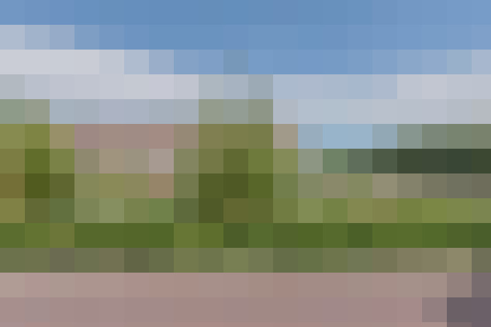 Image 26