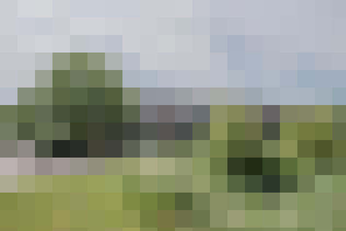 Image 25
