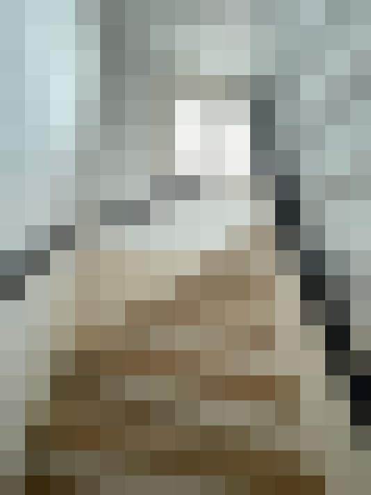 Image 25