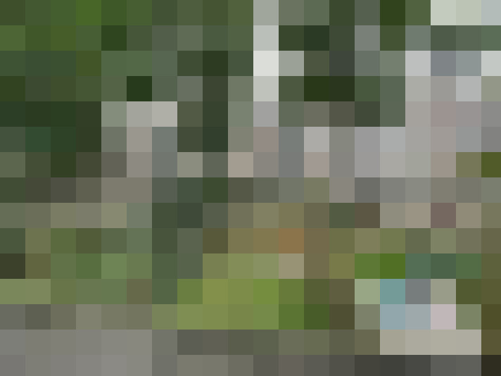 Image 14