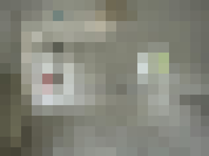 Image 26