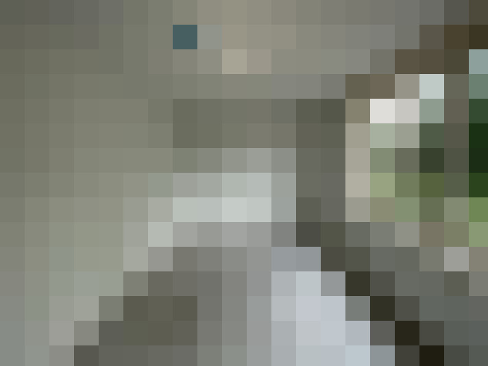 Image 23