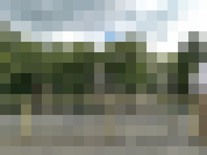 Image 29