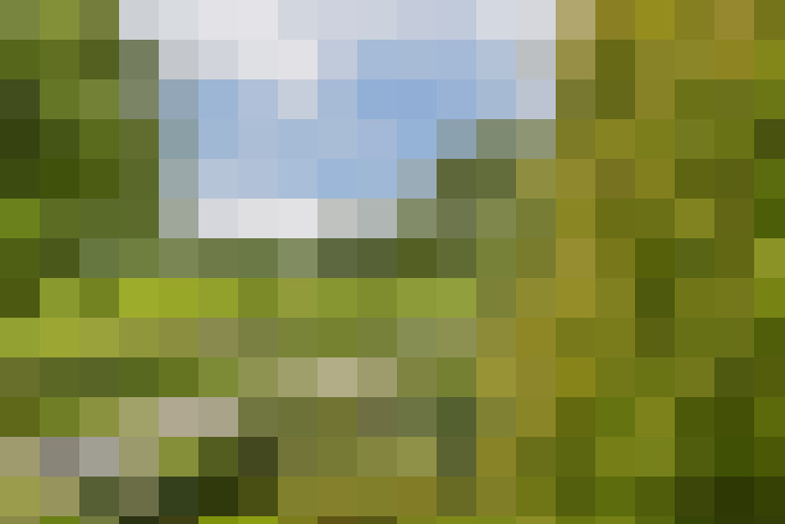 Image 17