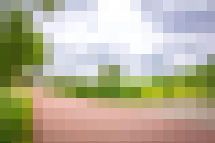 Image 39