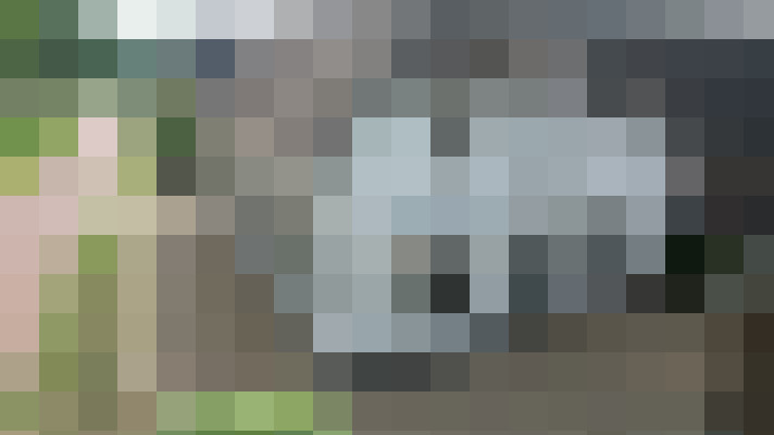 Image 41