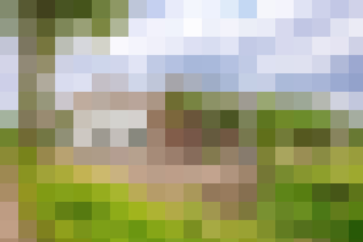 Image 37