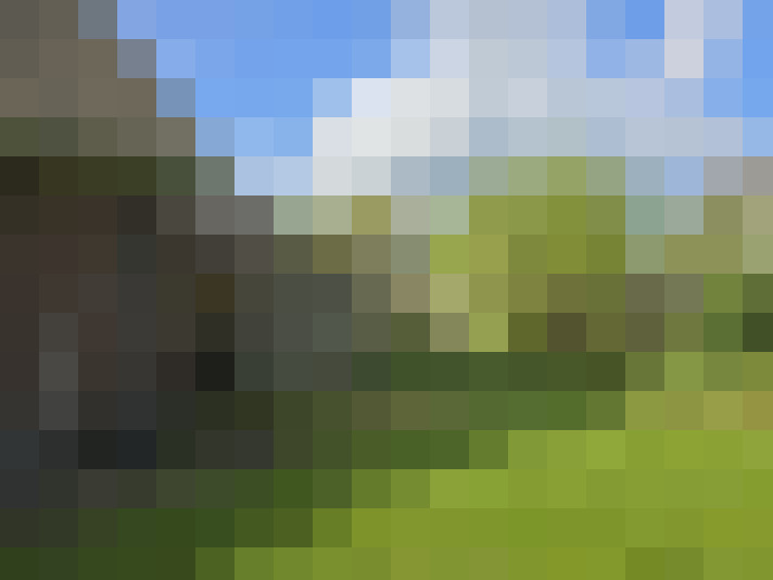 Image 27