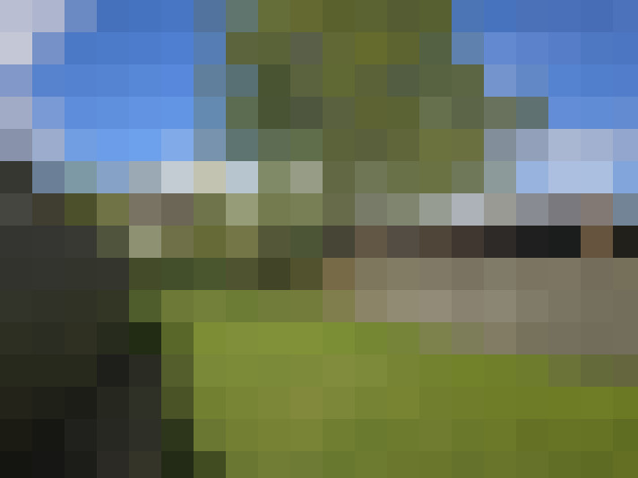 Image 31
