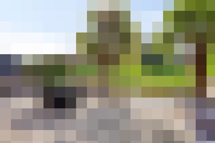 Image 45