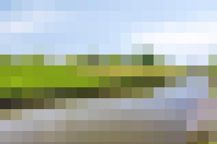 Image 35