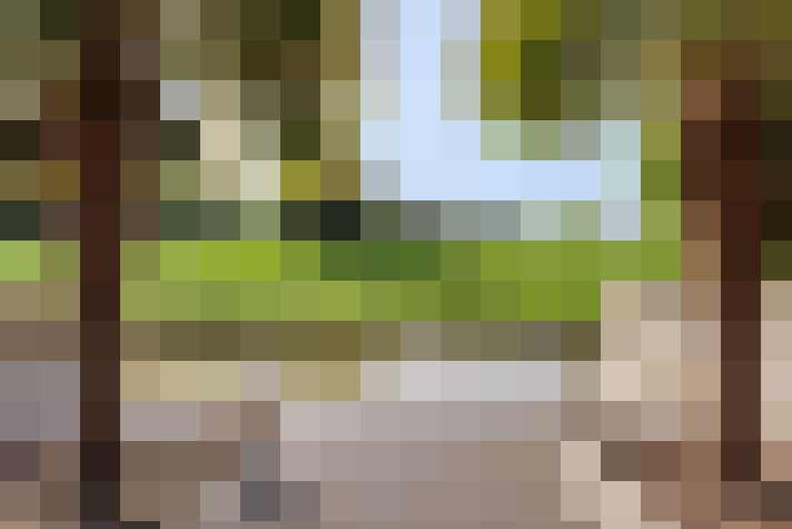 Image 33
