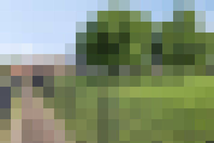 Image 42