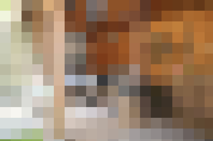 Image 22