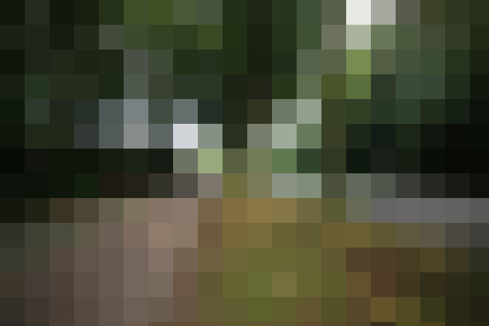 Image 65