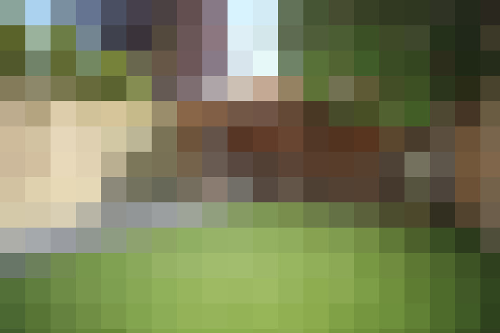 Image 25