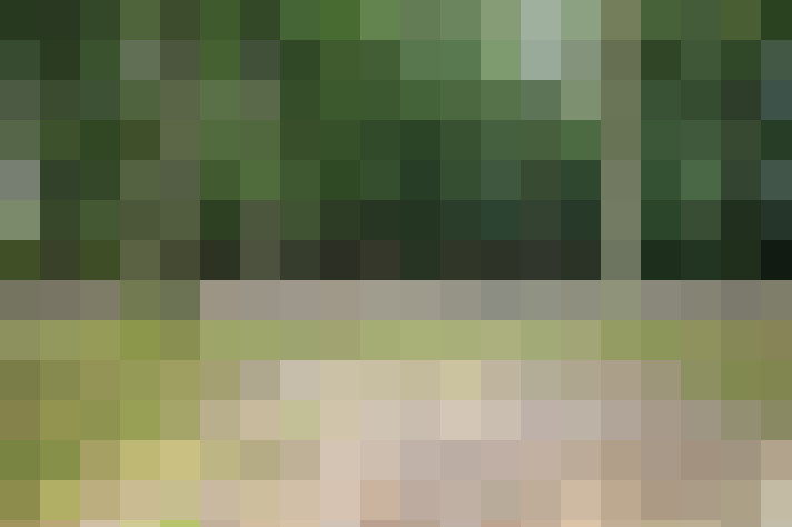 Image 64