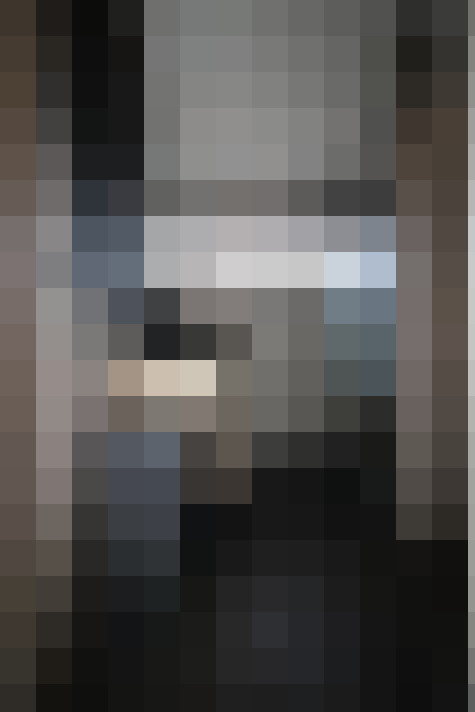 Image 29