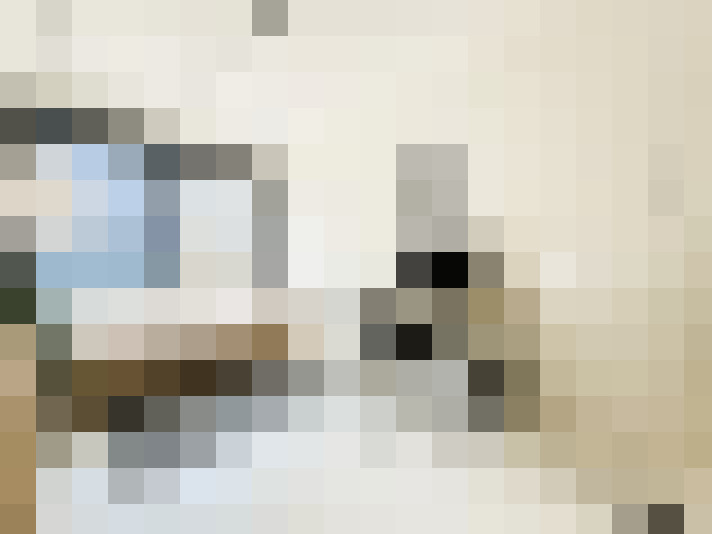Image 25