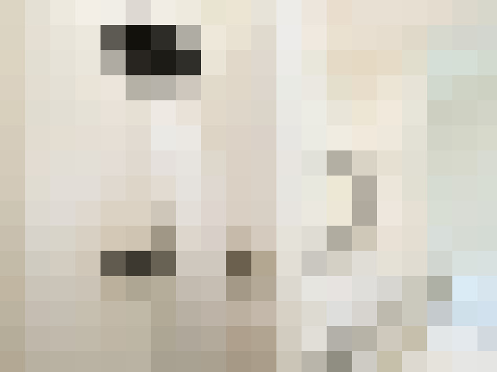 Image 23