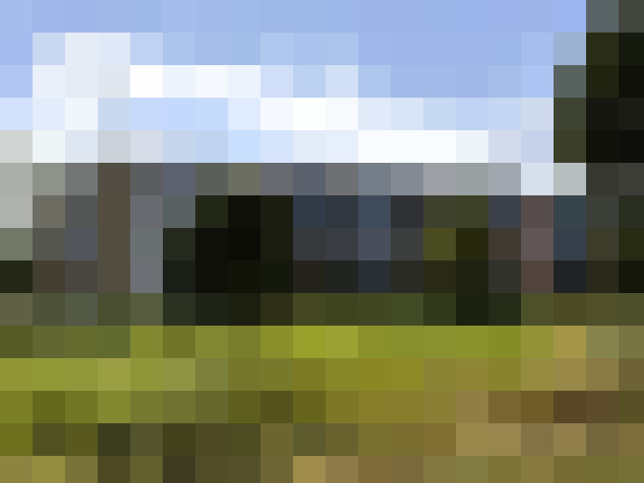 Image 33