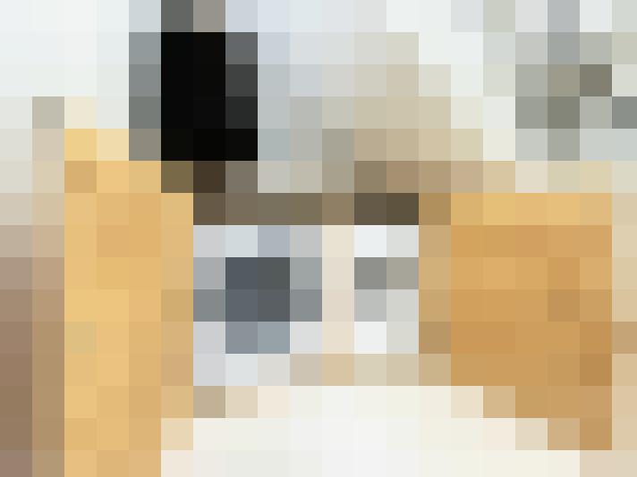 Image 30