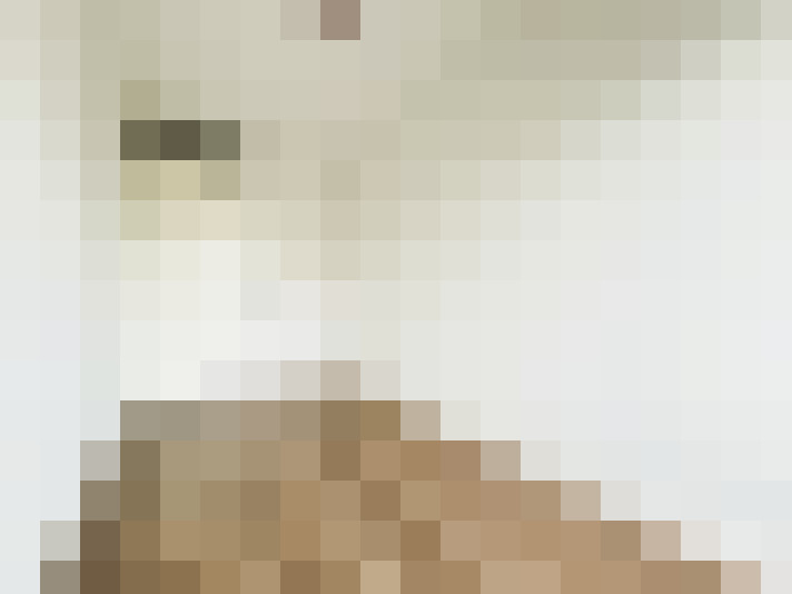Image 45