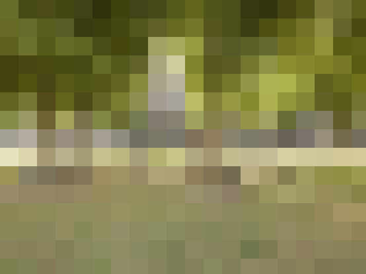 Image 27