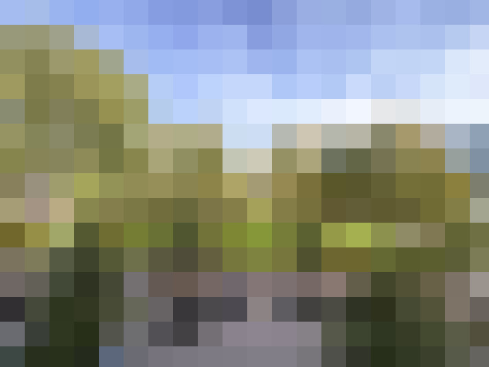 Image 49