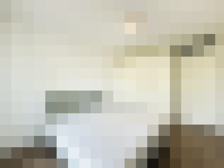 Image 13