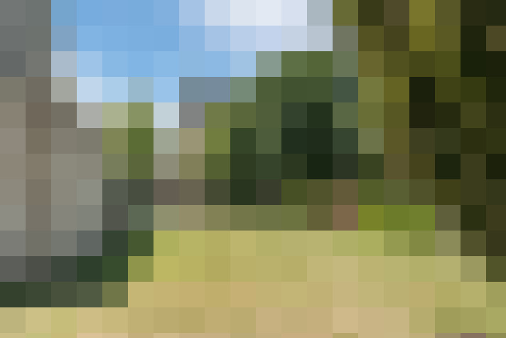 Image 34