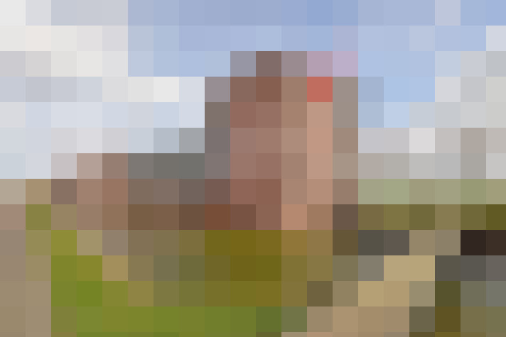 Image 17