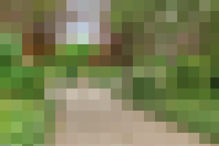 Image 14