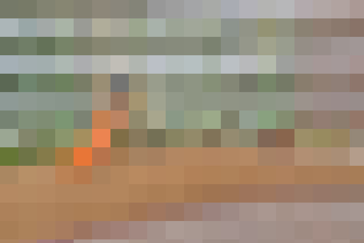 Image 26