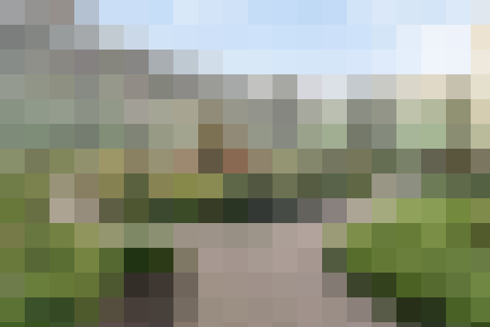 Image 25