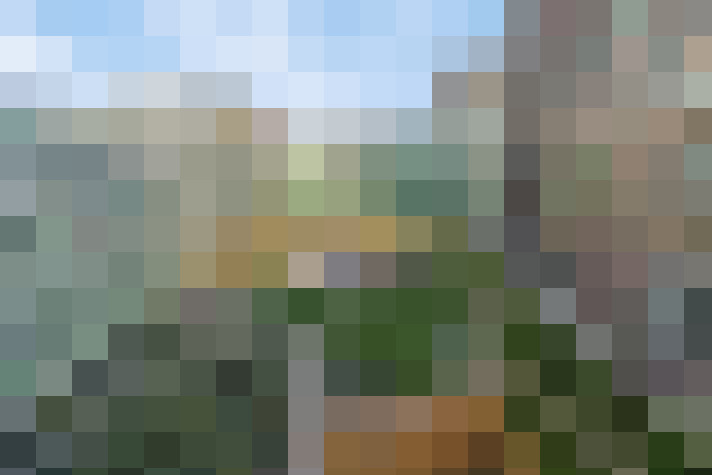 Image 24