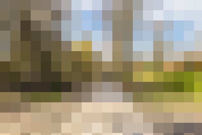 Image 28