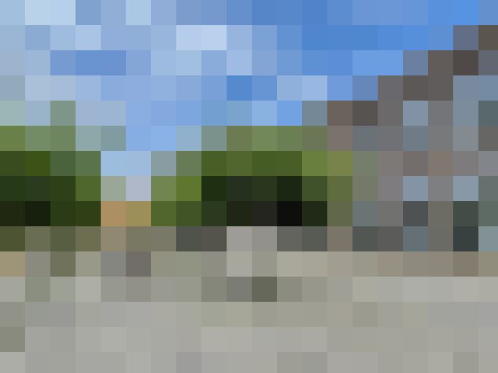 Image 13
