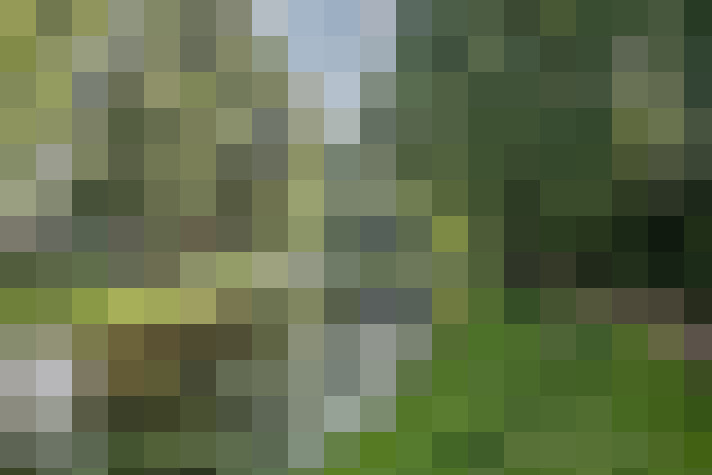Image 16