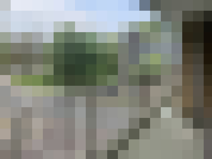 Image 22