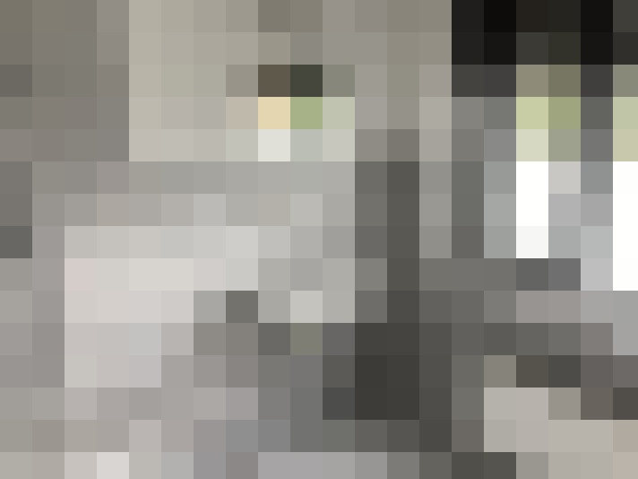 Image 17