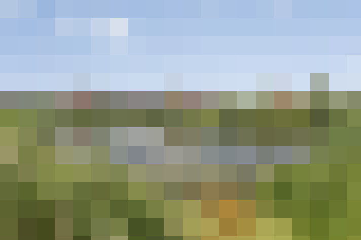 Image 15